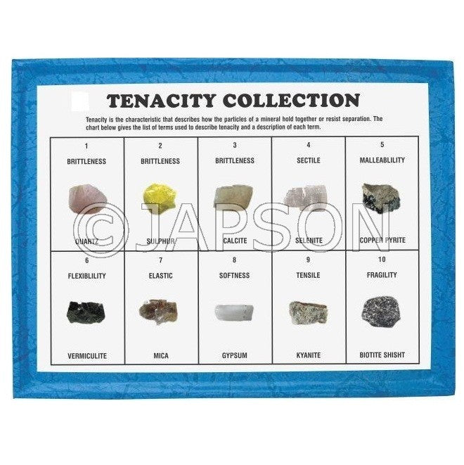 Tenacity Collection, Set of 10 Tenacity Collection, Set of 10